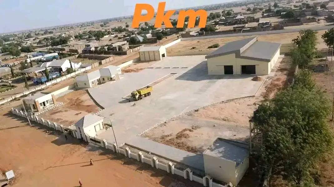 Sesame Seed packaging cleaning and processing factories