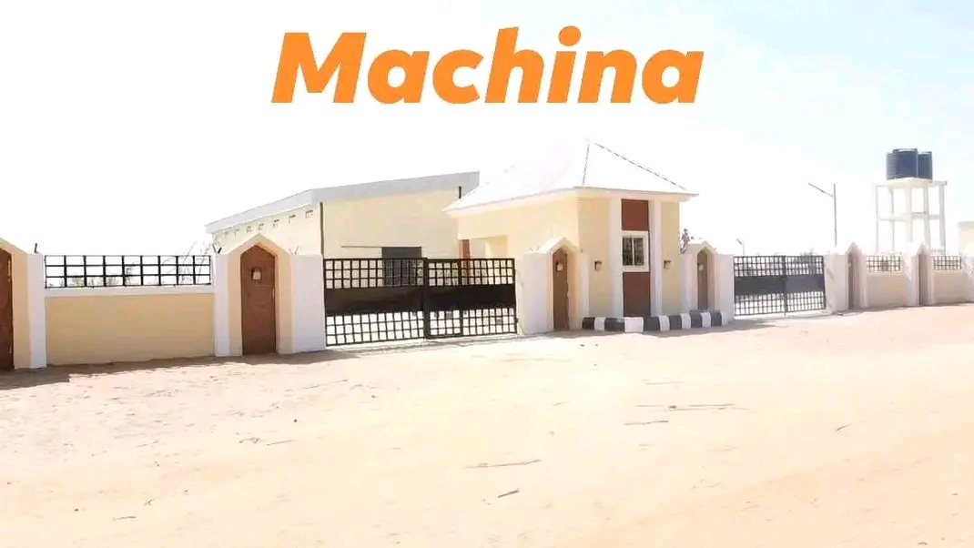 Sesame Seed Packaging cleaning and processing factories